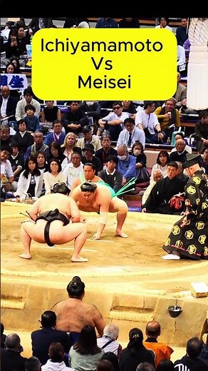 Epic Clash at Fukuoka Grand Sumo 2024: MEISEI vs ICHIYAMAMOTO! #shorts