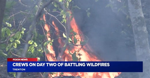 Fire outbreak along Aiken-Edgefield County line contained by SC Forestry Commission
