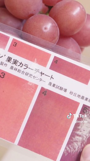 Japanese Ruby Roman Grapes: A Luxury Fruit Experience