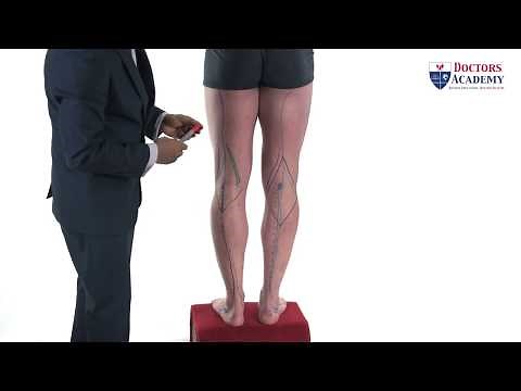 Popliteal Artery Surface Anatomy | Professor Stuart Enoch