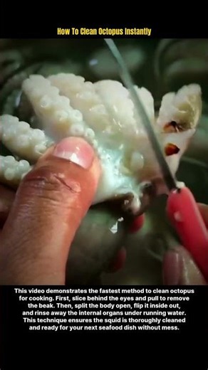 How To Clean Octopus Instantly