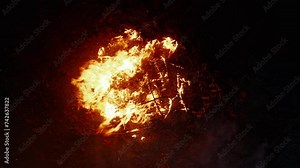 Fire burning dry wood branch, leaf or dead tree at local outdoor. Destruction with combustion, heat, flame. Effect to environmental damage i.e. smoke, air pollution, disaster and global warming.