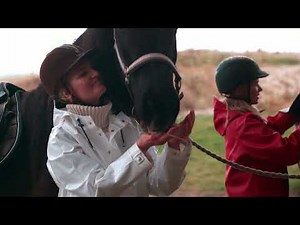 FROM THIS IS FARMERRAIN, HORSE IN THE RAIN