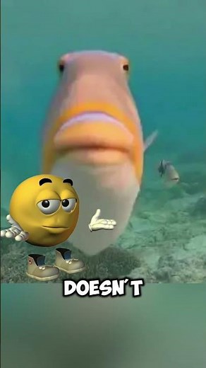Travis Scott fish