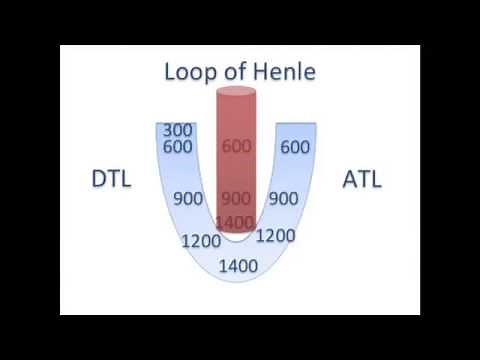 Counter current mechanism concepts