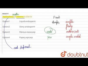 Hydrochory of coconut is due to