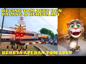 Kucing Tom LUCU Duet Dgn Palang & Kereta Api Bernyanyi NAIK KERETA API TUT TUT TUT Terbaru 2021