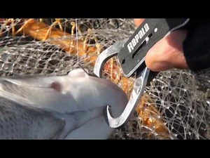 第４６回釣りテレ　『フカセ釣り沈め釣法　編』