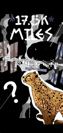 How Does The I. S.S. Work? #space #spacex #science #physics