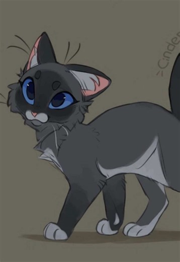 Cinderpelt removing character features — Cinderpelt leg injury explained