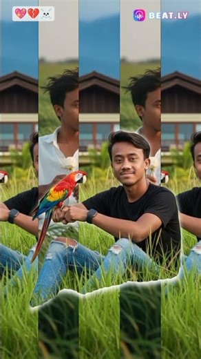 Address: Street, Apt, City, Country/Region, Province, Postal code