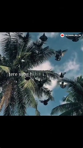 Sanam re ✨ || Mera mukaddar sawara hai yun 💘 || #aestheticlyrics #songlyrics #lovesong #lyrics