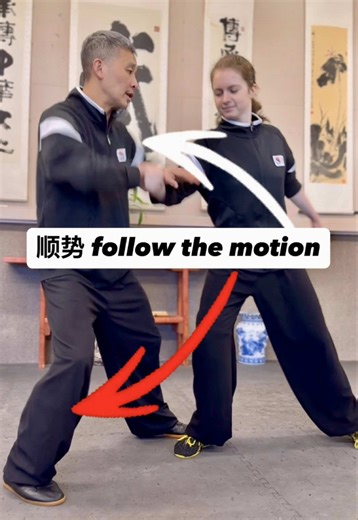 Applications of Grasp Bird’s Tail in Tai Chi