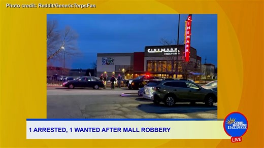 Christiana Mall Robbery, Deadly Wilmington DUI Crash & Delaware Alerts | DETV News - DETVCH