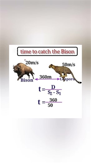Fastest Way to Calculate Time & Distance! 🕒 | Physics & Math Short Trick