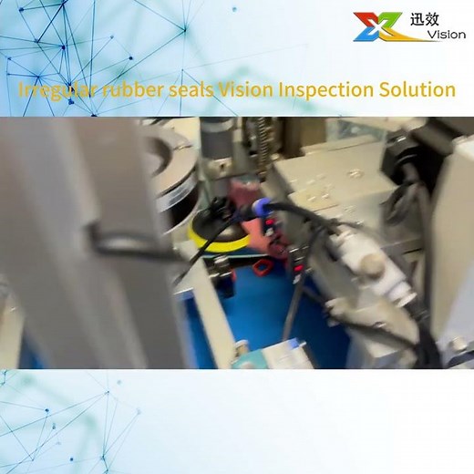 Irregular rubber seals Vision Inspection Solution #machinevision #automaticinspection #ccdinspection
