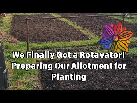 We Finally Got a Rotavator! Preparing Our Allotment for Planting