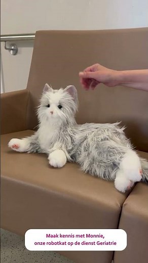 Maak kennis met Monnie onze robotkat op de dienst Geriatrie in het A.S.Z.