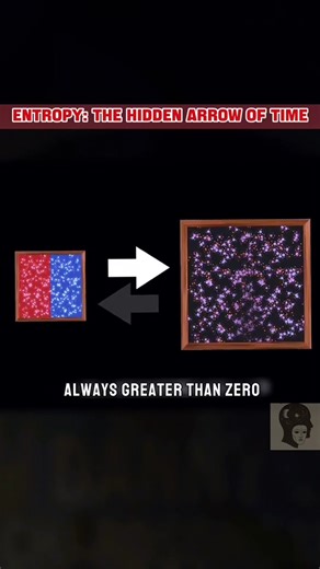 Entropy! #dannyscience #fyp #stemtok #entropy #universe