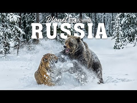 Wild Russia | How Animals Survive Siberia’s Brutal Extremes | FULL DOCUMENTARY