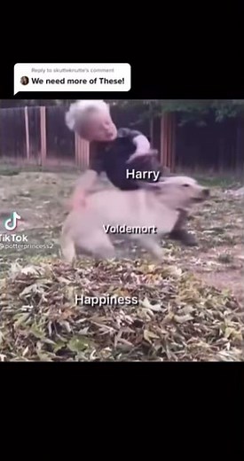 harry potter characters as vines