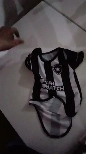 BOTAFOGO CAMPEÃO DA LIBERDADORES AEDE DO BOTAFOGO BELÉM/ 30 de novembro de 2024