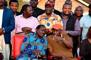 The critical role of the opposition