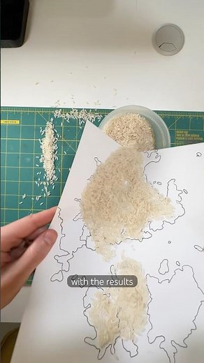 How to Rice Map 🌾