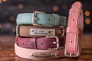 Leather Dog Collar, Personalized Dog Collar, Personalized Leather Dog Collar, Engraved Leather Dog Collar - Etsy