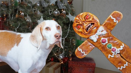 Dogs are startled by a mischievous gingerbread man