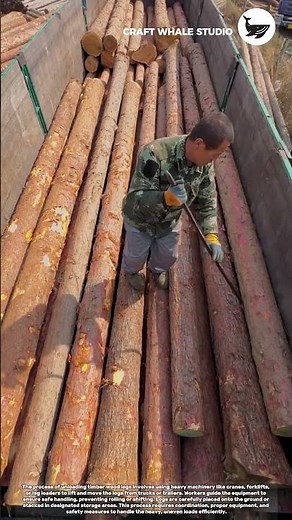 The process of unloading timber wood logs