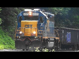 🐦🦌 Lots of Assorted Trains with some EMD Action