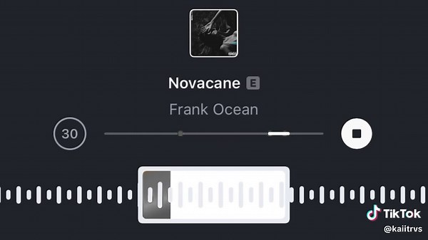 Novacane oleh Frank Ocean: Lirik dan Audio 8D