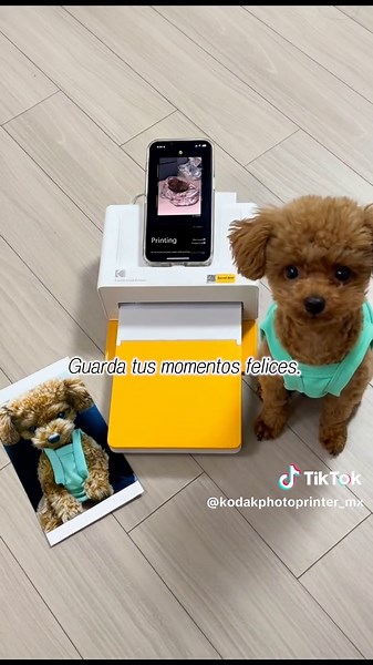 Cientos de fotos de mi perro…🤣 Mi galería es solo de peluditos 🐶💛 Con el Kodak PD460 imprimo todo y creo una galería canina en casa 📸✨ Siempre serás mi modelo favorito 🐾💛 #PD460 #ImpresoraDeFotos #Kodak #AmorPerruno #PetLovers #Recuerdos #GaleríaDePerros #4PASS #Mascotas