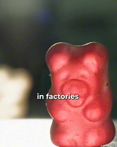 Think you need fish oil for Omega-3s? 🐟 Think again. Fish get their Omega-3s from algae — so skip the middle fish and choose ENERGYbits® Spirulina. And gummies? ❌ They’re candy with a side of sugar. Not real food. ENERGYbits® algae tablets are whole food nutrition that fuels your body from the inside out. | ENERGYbits Algae Tablets