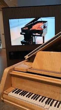 Seen at the Steinway store in NYC. World's most expensive player piano.