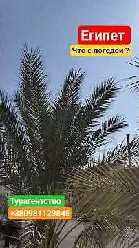 Minamark Beach Resort & Spa 4 IN HURGHADA at SHERATON