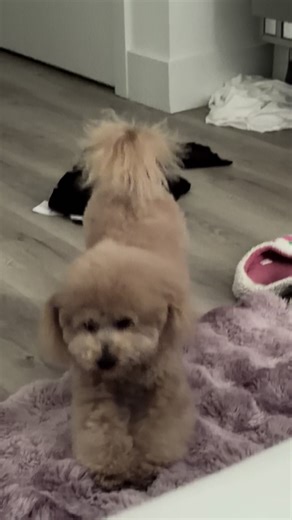 Dogouttheway (@dogouttheway)’s videos with original sound - Dogouttheway