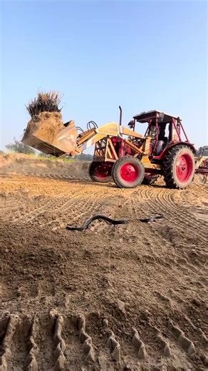 tractors_agricultural (@tractors_agricultural)’s videos with original sound - tractors_agricultural