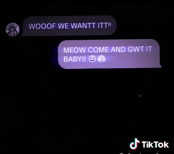 Exploring the Mysteries of School Bus Graveyards