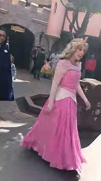 Princess Aurora Disneyland