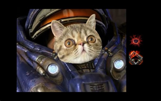 #234: 批量生产 - 泰凯斯 单刷 (v2) [AI: 遮天蔽日] (星际争霸2突变)