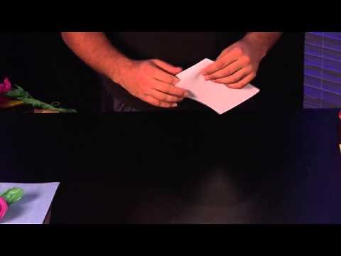 How to Make a Paper Snapper