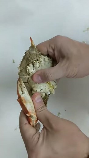 How to eat Maryland Blue Crabs from the Chesapeake Bay in 30 seconds