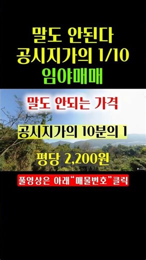[1576] Sale of forest land at an absurd price