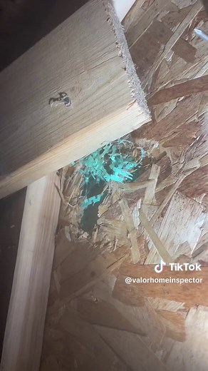 New Construction Home Inspection: Don't Trust the Builder!