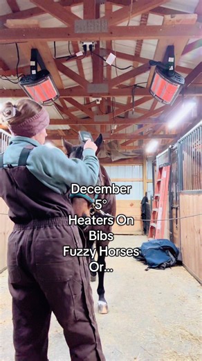 Winter in Ohio: Cozy Moments with Fuzzy Horses