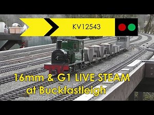 16mm and Gauge 1 live steam at Buckfastleigh in January 2023