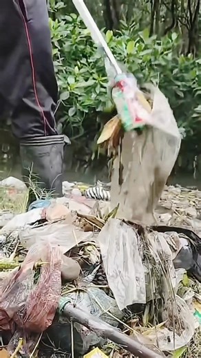 11K views · 87 reactions | The Amazon forest is not just dangerous | FACT ZONE | Facebook