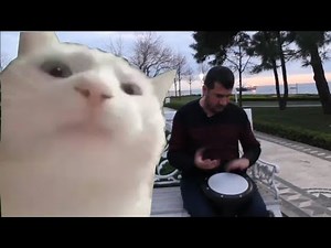 Cat Vibing With Drum Beats Meme Template - Levan Polkka Street Drummer Meme Template |